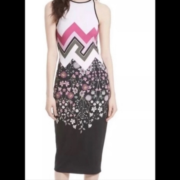 Ted Baker London Dresses & Skirts - Ted Baker Seenaa Print Jersey Dress Sleeveless
